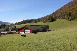 Batiment-agricole-69-scaled