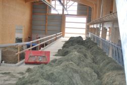 Batiment-agricole-8