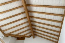 Plafond-31