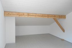 Plafond-4